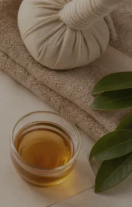 Foto de sucupira relacionada ao artigo: Artrose no joelho: como aliviar a dor naturalmente